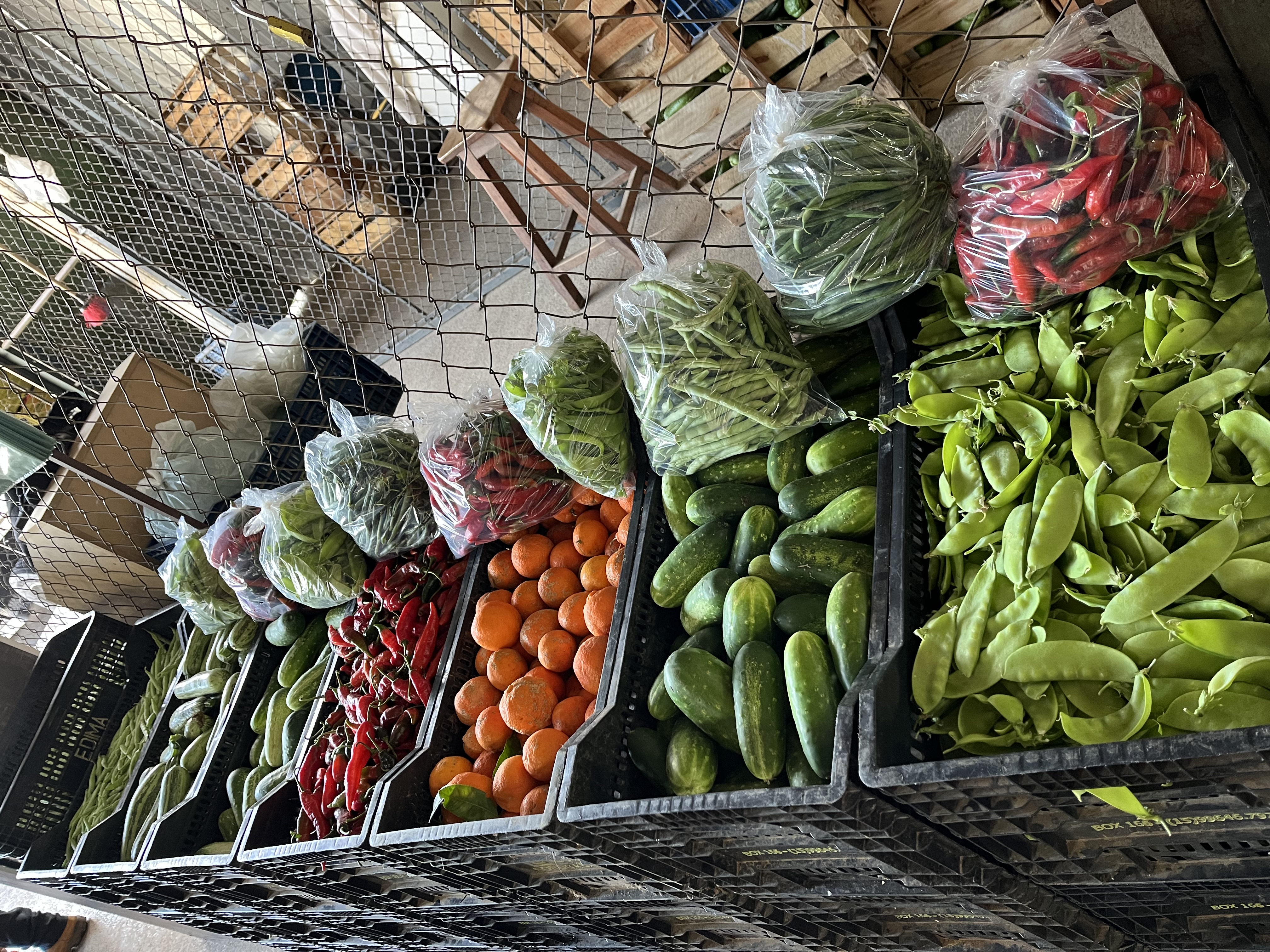 Ceagesp Sorocaba box 166