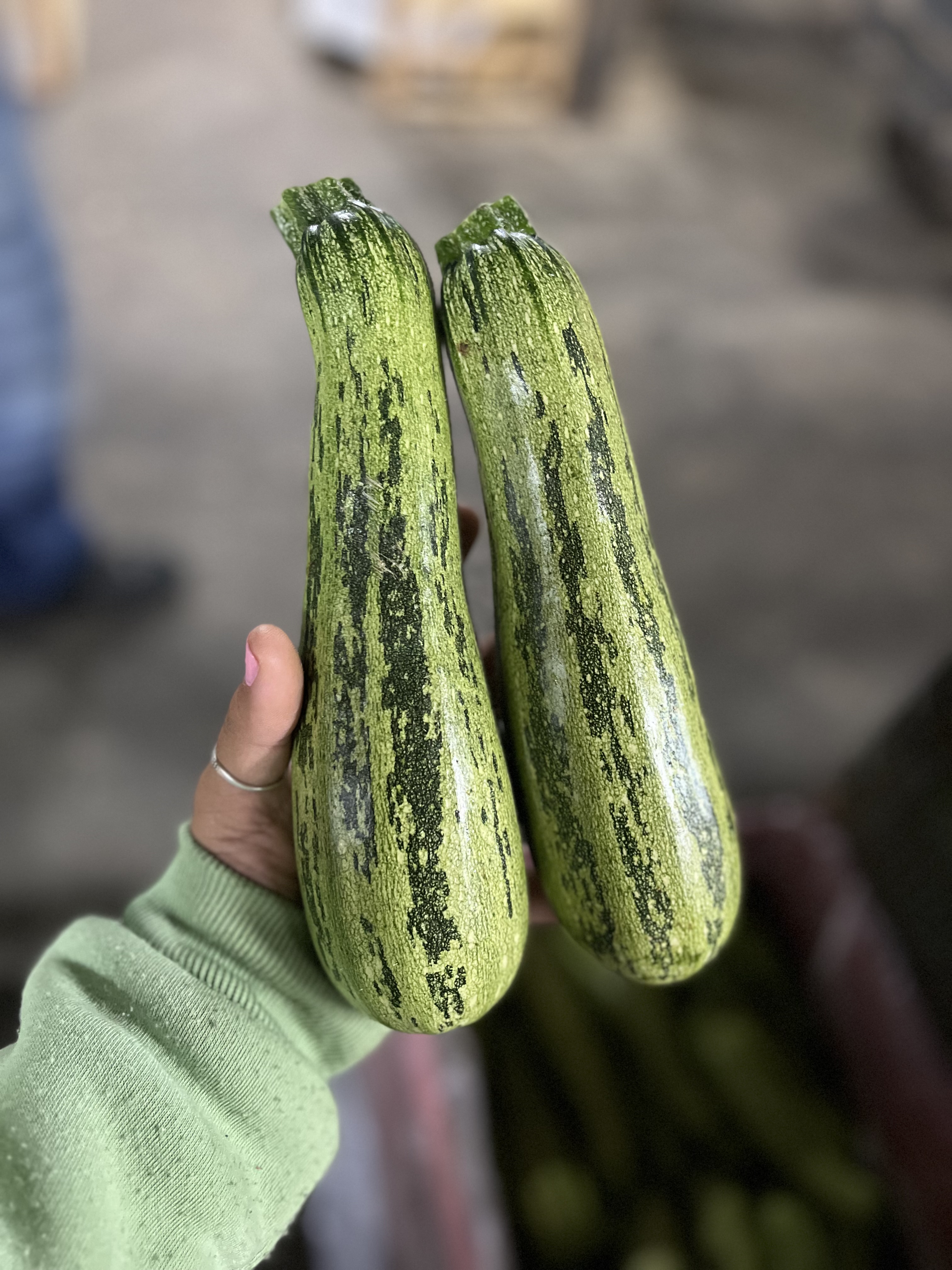 Foto de Abobrinha Italiana