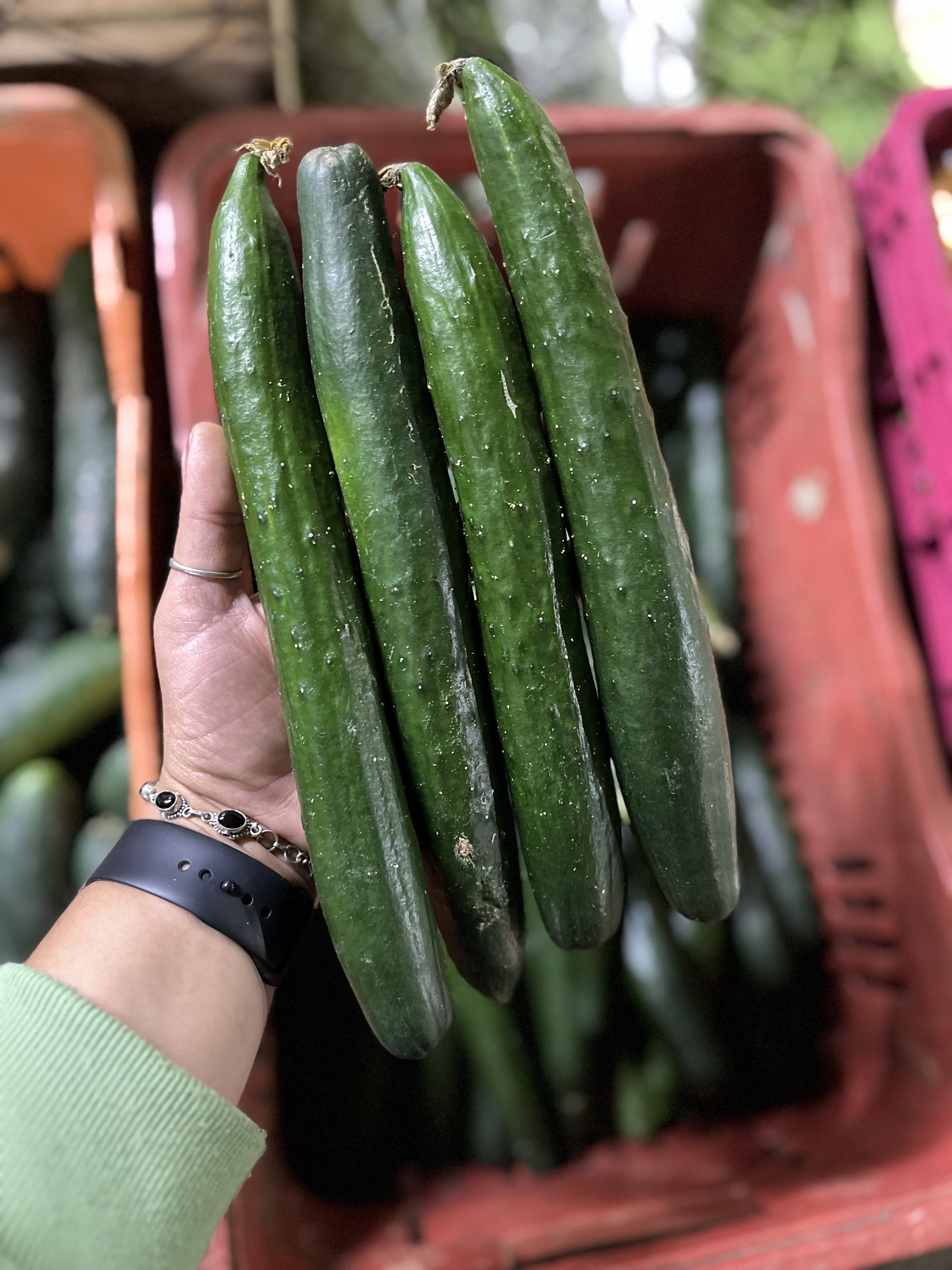 Foto de Pepino Japones